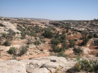 Collins Canyon Trailhead